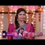 Karthigai Deepam | அவங்க பொய் சொல்றாங்க Madam🤨 | Ep – 699 | Webisode | Dec 26 2024 | Zee Tamil