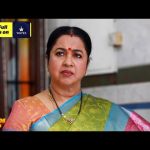 Thayamma Kudumbathaar – Promo | Tamil Serial – EP 249 | 15 Jan 2025 | 8:30 PM on @DDTamilOfficial