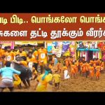 Palamedu Jallikattu | Bull challenged | Players | Madurai | Sun News