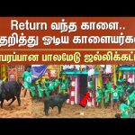 Kaalai Return | Palamedu Jallikattu 2025 | Madurai | Pongal Celebration | Bull | Sun News