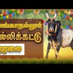 🔴LIVE: Madurai Alanganallur Jallikattu 2025 | மதுரை அலங்காநல்லூர் ஜல்லிக்கட்டு நேரலை | Vasanth TV