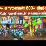 Palamedu Jallikattu 2025 Highlights | Madurai | Pongal Celebration | Bull | Sun News