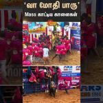 Alanganallur Jallikattu | Murattu Kaalai | Players | Round | Madurai | Sun news