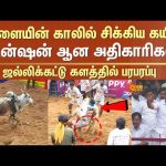 Alanganallur Jallikattu 2025 | Pongal Celebration | Madurai | Sun News