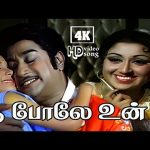 பூ போலே உன் |  | Poopole Un Punnagaiyil | 4K Video 5.1 | S. P. Balasubrahmanyam | Solo Male Song🎶