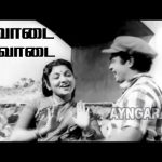 Poovadai Nee Enakku – HD Video Song | பூவாடை நீ எனக்கு| Thedi Vandha Selvam | SSRajendran | Ayngaran