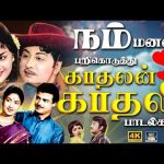 நம் மனதை பறிகொடுத்து காதலன் காதலி பாடல்கள் | Old Love Duet Songs | TMS | Susheela | 4K