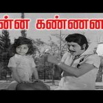 சின்ன கண்ணா செல்ல கண்ணன் | Chinna Kanna Chella Kanna | Karottek Kannan |  T.M.Soundararajan Hit Song