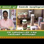 மீன் மதிப்புக்கூட்டலில் உள்ள சவால்களும் வாய்ப்புகளும் | Agri Technology