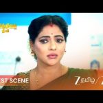 KARTHIGAI DEEPAM | கார்த்திக் ரெவதியை பார்க்கிறார்.