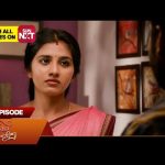 Singappenne – Full Episode | EP – 758 | 17 Mar 2026 | Tamil Serial | Sun TV