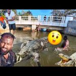 இப்படி வாழ முடியுமா?😵 இது தான் சொர்க்கம் Village Life | Jaffna Tamil Vlogs | Alasteen Rock