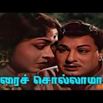 பேரை சொல்லலாமா Color Song | Perai Sollalama | Thayai Katha Thanayan | MGR | Saroja Devi #mgr #song