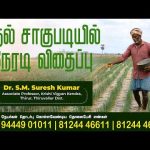 நெல் சாகுபடியில் நேரடி விதைப்பு – Direct sowing in rice cultivation | வேளாண் களம் | 03.04.2026