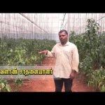 PROMO | பொன் விளையும் பூமி | 09.04.2026 | #agriculture #farming #farmer