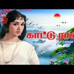 காட்டு ராணி கோட்டையிலே (Color) Song | Kaatu Rani | Thayai Katha Thanayan | SarojaDevi | #sarojadevi