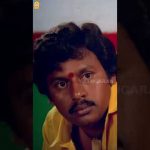 Watch 👆Trending Shorts From the Song ‘ Shenbagame Shenbagame ‘ – #ripashabhosle #trending #ayngaran