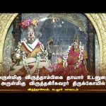 அருள்மிகு விருத்தகிரீசுவரர் திருக்கோயில் – விருத்தாச்சலம், கடலூர் | Aalaya Darisanam
