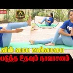 Navasana Yoga | உடலின் மைய வலிமையை மேம்படுத்த உதவும் நாவாசனம் | Dhinam Oru Yoga | Vasanth TV