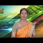 மதுரை, புதுக்கோட்டை, சிவகங்கை, தேனி, திண்டுக்கல், இராமநாதபுரம் | Agri Advisories Notes
