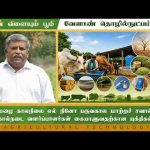 குறை மழை & எல் நினோ : கால்நடை வளர்ப்பாளர்களின் யுக்திகள் | Agriculture Technology