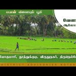 கன்னியாகுமாரி,தூத்துக்குடி,விருதுநகர்,திருநெல்வேலி   | Agri Advisories Notes
