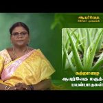 Ayurveda Treatment | கற்றாழை ஆயுர்வேத மருத்துவ பயன்பாடுகள் @DDTamilOfficial​