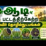 🔴Live | ஆடி பட்டத்திற்கேற்ற பயிர் தொழில்நுட்பங்கள் | 10th July 2026