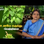 சித்தர் வழி மருத்துவம் | Sidhar Vazhi Maruthuvam | உணவே மருந்து -வெற்றிலை