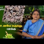 சித்தர் வழி மருத்துவம் | Sidhar Vazhi Maruthuvam | உணவே மருந்து -பாக்கு