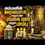 Marmam | குழந்தை இல்லாதவர்களுக்கு பிரசாதமாக வழங்கப்படும் கருமுட்டை | Vasanth TV