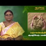 Ayurveda Treatment | பஞ்சகவ்யத்தின் ஆயுர்வேத பலன்கள்  @DDTamilOfficial​