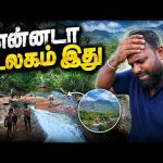 ஏமாற வேண்டாம் இன்னமும்!😵 Jaffna Tamil Vlogs | Alasteen Rock