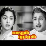 ”அந்த பொண்ணோட பேச்சும் , கவனிப்பும் கசப்பா இருக்குற மருந்து  கூட இனிக்கும் டாக்டர்!|Paalum Pazhamum