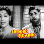 ”என்ன நேசிச்ச  உன் இதயத்துக்காக நான் உன் விருப்பத்துக்கு சம்மதிக்குறேன் ” !|Paalum Pazhamum HD