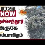 Thiruchendur அருகே அசம்பாவிதம் | Temple | Sun News