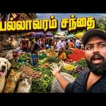 பரபரப்பான பல்லாவரம் சந்தை!😲 Pallavaram Indian Busy Market | Tamil Vlogs | Alasteen Rock