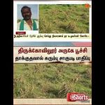 திருக்கோவிலூர் அருகே பூச்சி தாக்குதலால் கரும்பு சாகுபடி பாதிப்பு