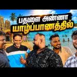 வீடு தேடி வந்த பதுளை உறவுகள்!😲 குமார் அண்ணா யாழ்ப்பாணத்தில் Jaffna Tamil Vlogs | Alasteen Rock