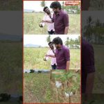 😎அடடா பக்காவா வந்துருக்கே 👨‍🌾நான் செய்த விவசாயத்தை நீங்களே பாருங்க – #billaram