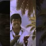இந்த வயசுக்கப்புறம் எனக்கு காது கேக்காம ஊருக்குள்ள பொண்ணா என்னைய என்ன நினைப்பாங்க #shorts