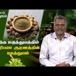 SiddharVazhi Maruthuvam | சித்த மருத்துவத்தில் திரிபலா சூரணத்தின் மகத்துவம்  @DDTamilOfficial​
