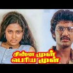 ” எனக்கு ஒன்னு பிடிச்சிதுனா அத நான் அடஞ்சே தீருவேன் ” ! |Chinna Mul Periya Mul HD| Raja Alfred